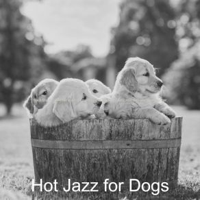 Download track Hip Smooth Jazz Saxophone - Vibe For Well Behaved Dogs Hot Jazz For Dogs