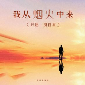 Download track 我从烟火中来 (只愿一身自在) 别问是海波