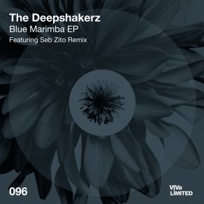 Download track Set My Mind The Deepshakerz