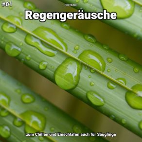 Download track Regengeräusche, Pt. 55 Fips Munzer