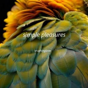 Download track Simple Pleasures Crushing Love