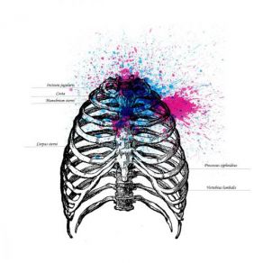 Download track Vertebrae Lumbalis 70 Cm³ Of Your Chest