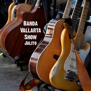 Download track Julito Banda Vallarta Show