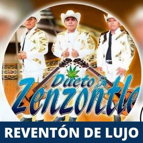 Download track La Viviana Dueto Zenzontle