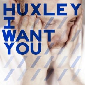 Download track I Want You (Shenoda Remix) Huxley