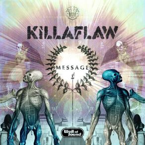 Download track Message (Private Agenda Remix) Killaflaw