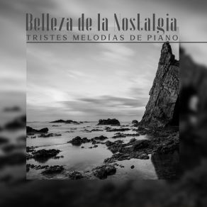 Download track Estrellas Fugaces Virtuo