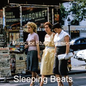 Download track Mood For Study Sessions - Guitar Solo Sleeping Beats