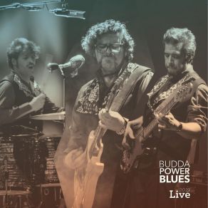 Download track King Of The Games Room (Live) Budda Power Blues