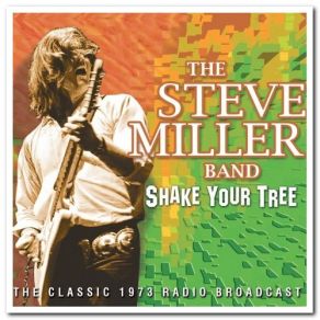 Download track Living In The USA Steve Miller Band