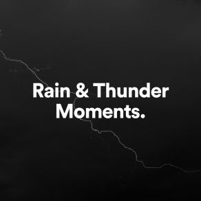 Download track Rain & Thunder Moments, Pt. 7 Thunderstorm