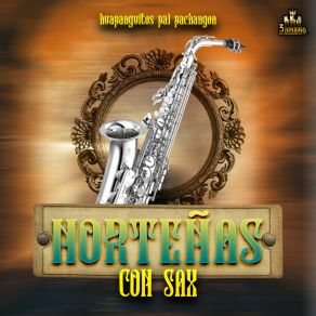 Download track Cumbia Mar Y Sol Huapangos Norteños