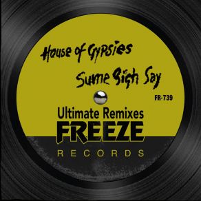 Download track Sume Sigh Say (Agent Orange DJ & Alexander Technique Remix) House Of GypsiesAlexander Technique, Agent Orange DJ