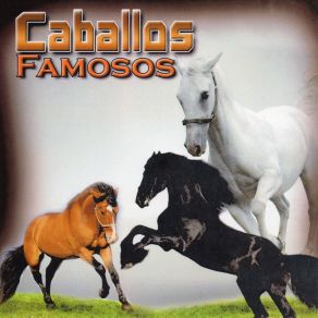 Download track Caballo Prieto Afamado Los Arrieros Del Norte