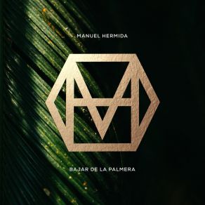 Download track So Many Beautiful Things Manuel Hermida