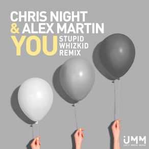 Download track You (Stupid Whizkid Remix) Chris NightAlex Martin