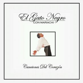 Download track Paloma Negra Ruben Ramos