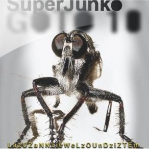 Download track Some Lies 4 - Me SuperJunko