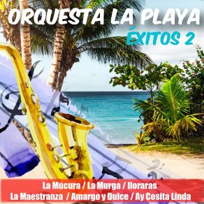 Download track Es Que Tu Me Llenas Orquesta La Playa