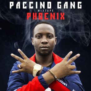 Download track Bamako Paccino Gang