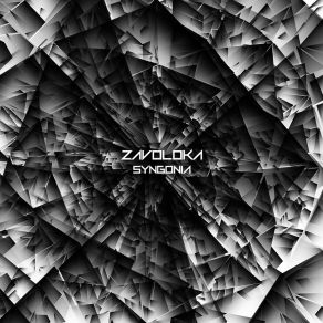 Download track No Beginning No End Zavoloka