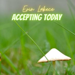 Download track Rollicking Acoustic Erin Lakece