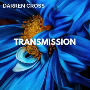 Download track Shiva (Original Mix) Darren Cross