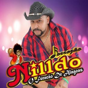 Download track Ela Me Chamou (Ao Vivo) Nilldo Furacão De Alagoas