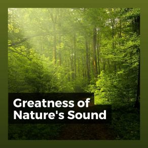 Download track Encouraging Sound Of The Nature Nature Soundscapes