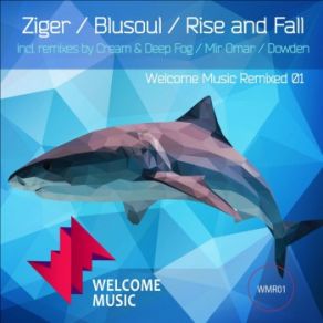 Download track Miracle (Dowden Remix) Ziger, Rise And Fall, Blusoul