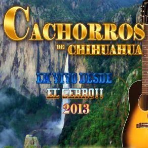 Download track Me Gusta Estar Contigo (En Vivo) Cachorros De Chihuahua