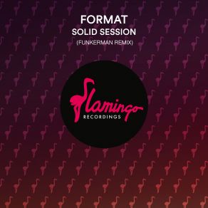 Download track Solid Session (Funkerman Remix) The Format