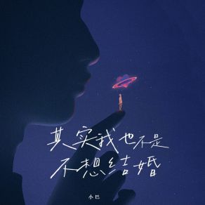 Download track 其实我也不是不想结婚 小巴