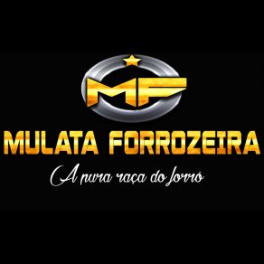 Download track Jogo Aberto Mulata Forrozeira