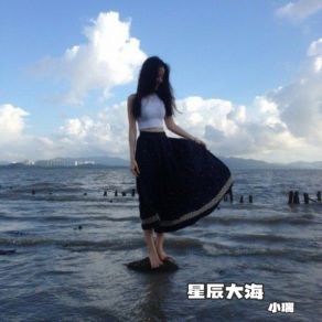 Download track 花手摇 (Dj版) 小瑞