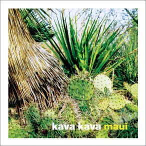 Download track Don't Stop The Music Kava Kava