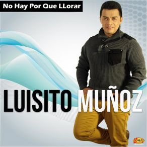 Download track Gracias Por Tu Amor Luisito Muñoz