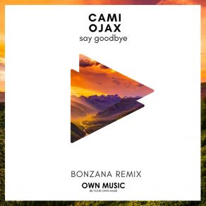 Download track Say Goodbye (Bonzana Remix) OJAX