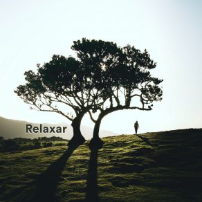 Download track By The Stream Relaxar