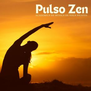 Download track Silencio Y Luz Academica De Música De Yoga Pilates