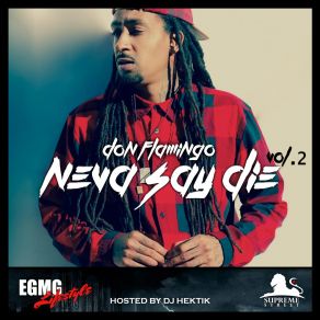 Download track You Ain't Missing Nothing Don Flamingo