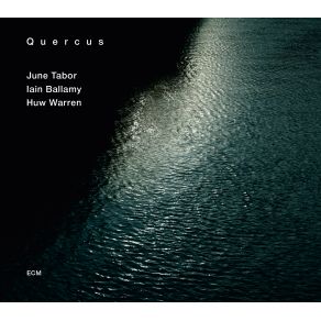 Download track Near But Far Away June Tabor, Huw Warren, Iain Ballamy, Quercus