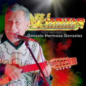 Download track Mi Gran Amor (Remastered) Los Kjarkas