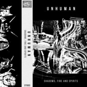 Download track Shadow Of The Serpent (Fallbeil Remix) UnhumanFire!