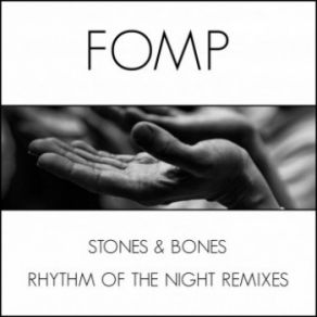 Download track Rhythm Of The Night Remixes (Tyrone Francis BNY Dub) Stones And Bones