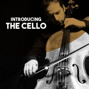 Download track Cello Concerto No. 1 In C Major, Hob. VIIb. 1: III: Allegro Molto The Moscow Chamber Orchestra, Lev Markiz, Jörg Metzger