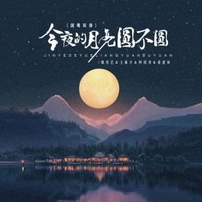 Download track 今夜的月亮圆不圆 (Dj京仔国粤双语版 伴奏) 阿国哥