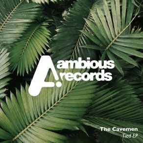 Download track Witch Doctor (Original Mix) Cavemen