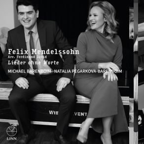 Download track Mendelssohn: Lieder Ohne Worte, Zweites Heft, Op. 30 (Arr. For Violin And Piano By Ferdinand David): II. Allegro Di Molto Michael Barenboim, Natalia Pegarkova-Barenboim