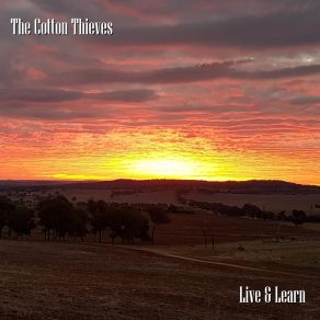 Download track Dollar Sign The Cotton Thieves